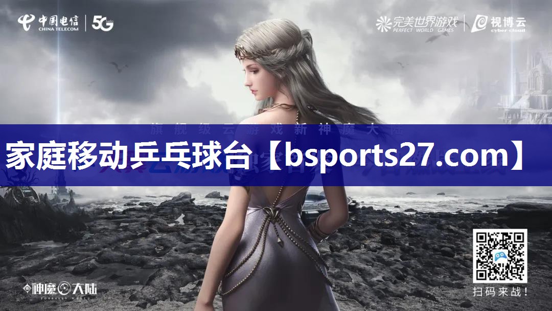 家庭移动乒乓球台